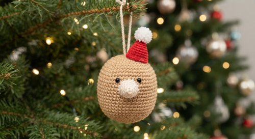 Christmas Hedgehog