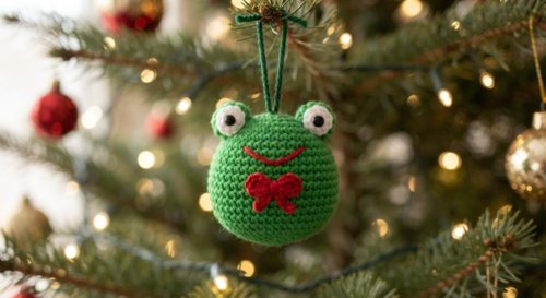 Little Christmas Frog view 1