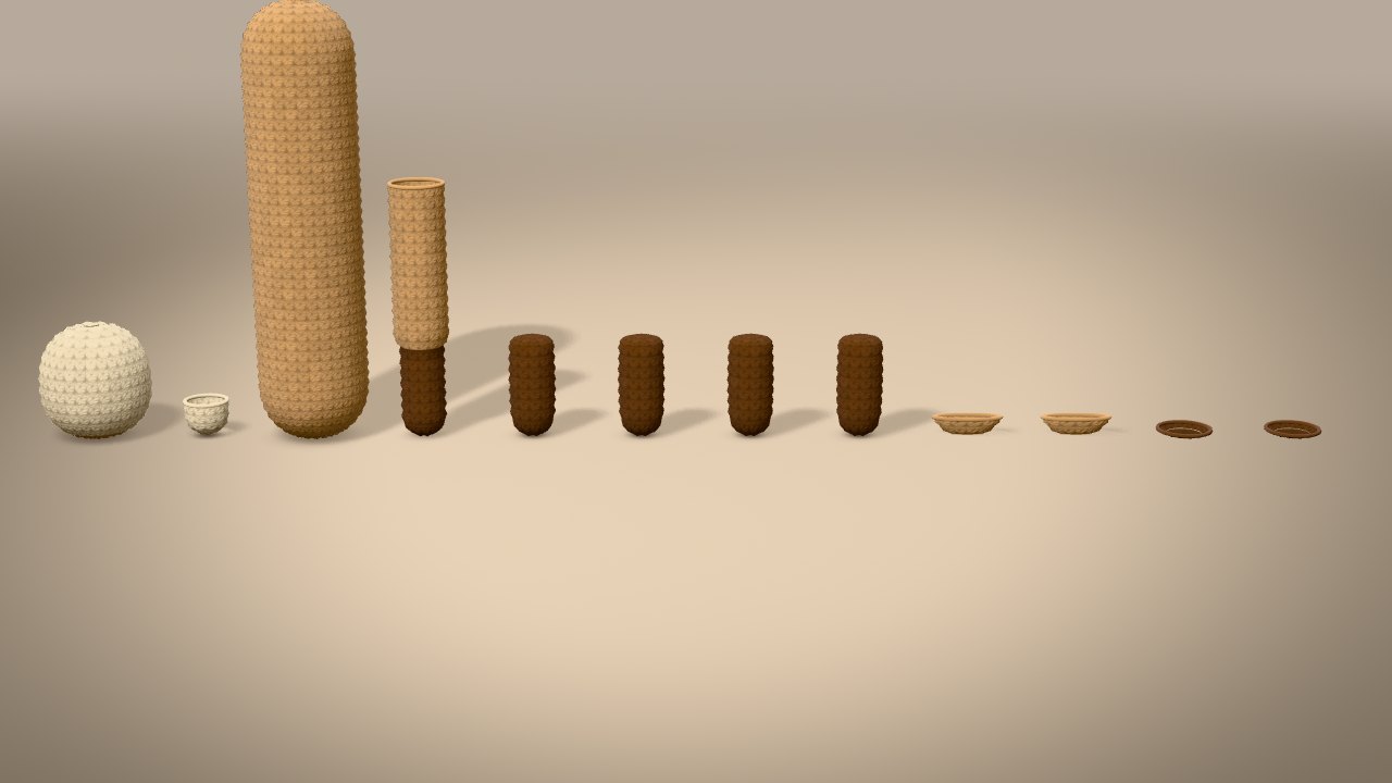 Black Footed Ferret in 3D: every piece